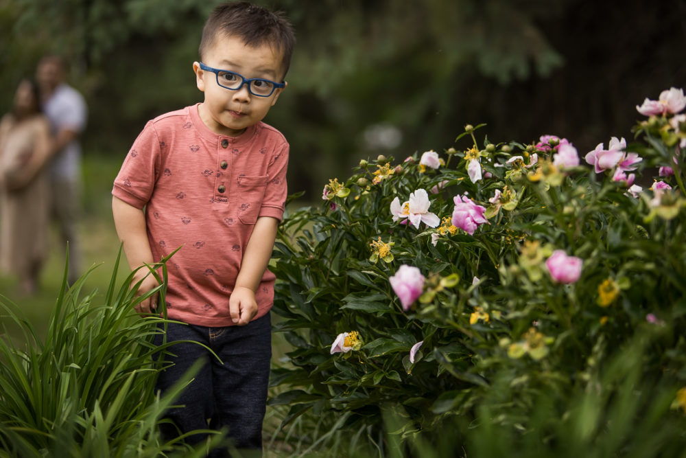 Outdoor family photos little boy walking through flowers by Paper Bunny Studios Edmonton