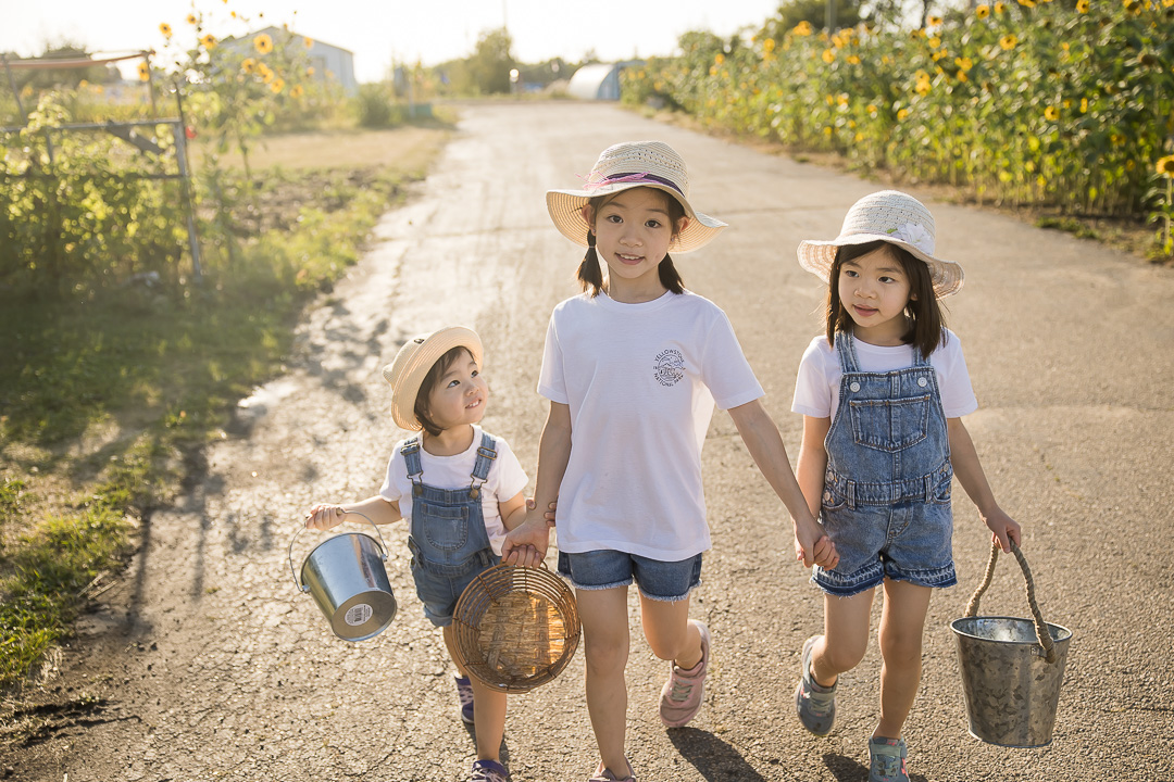 Fall family photos by Paper Bunny Studios