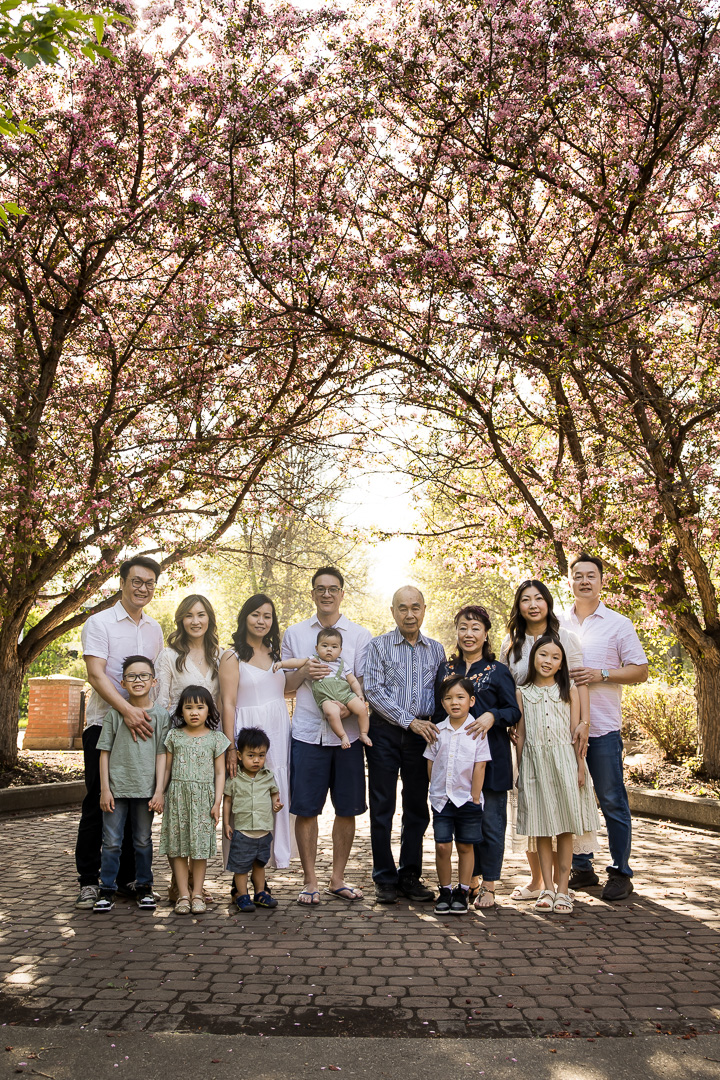 Extended family portrait with cherry blossoms in Edmonton by Paper Bunny Studios