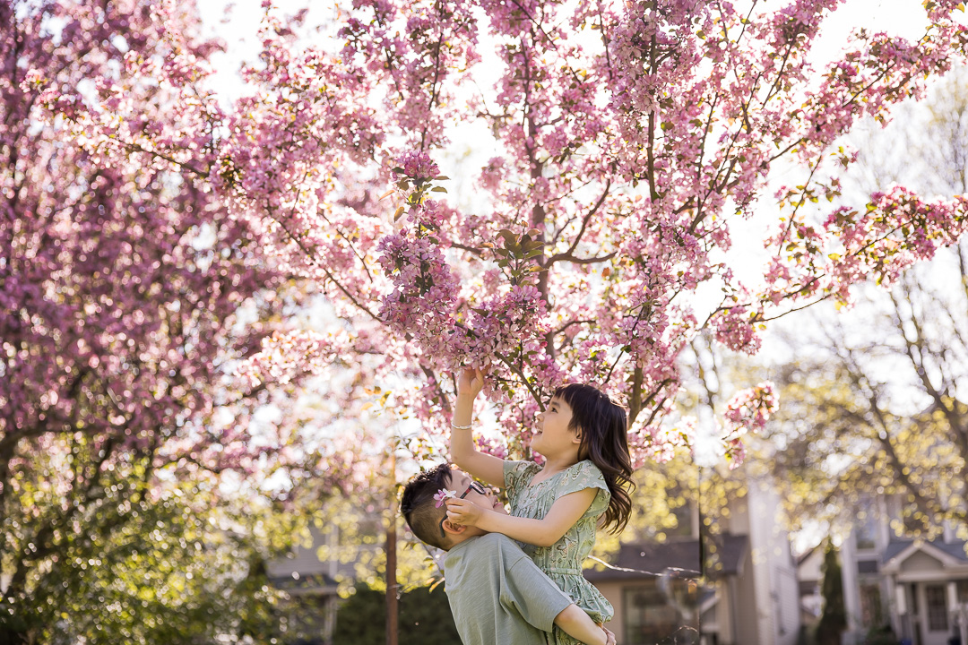 Brother helping sister reach cherry blossoms for outdoor family portrait by Paper Bunny Studios