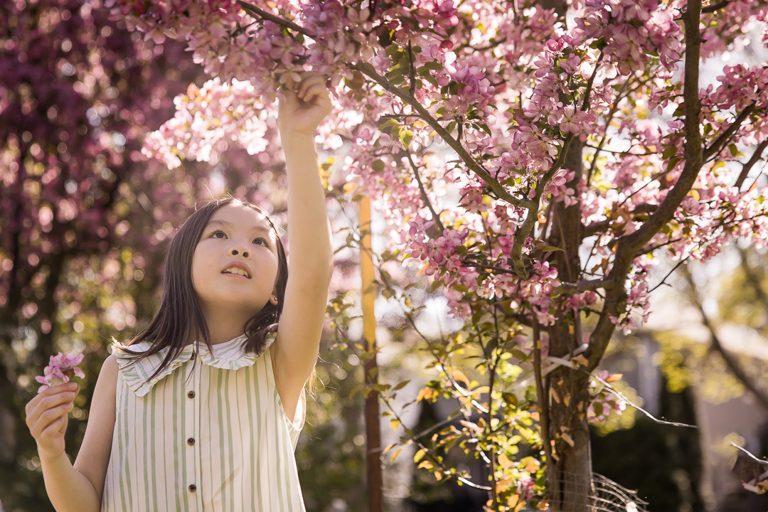 Young girl reaching for cherry blossoms by Paper Bunny Studios