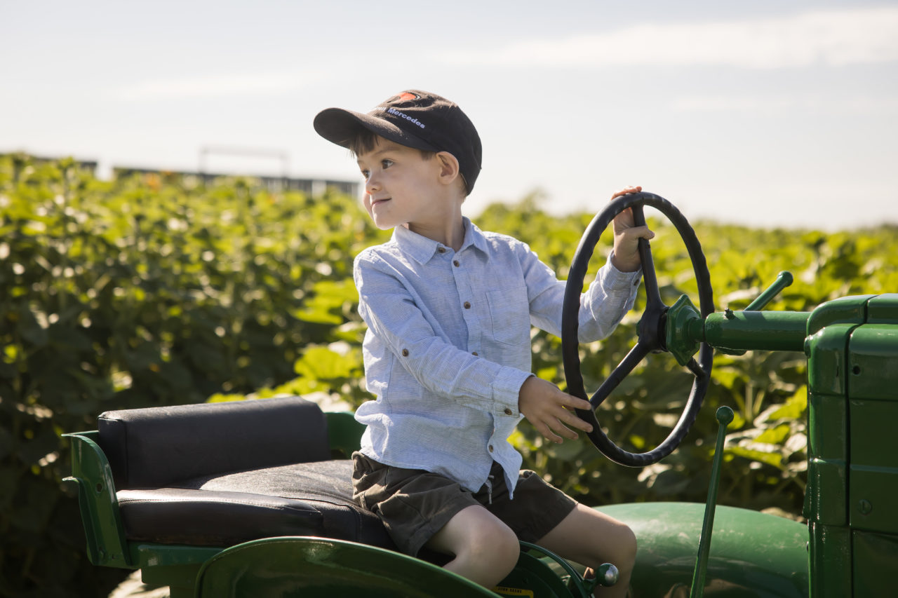 Edmonton corn maze family photography- boy on a tractor