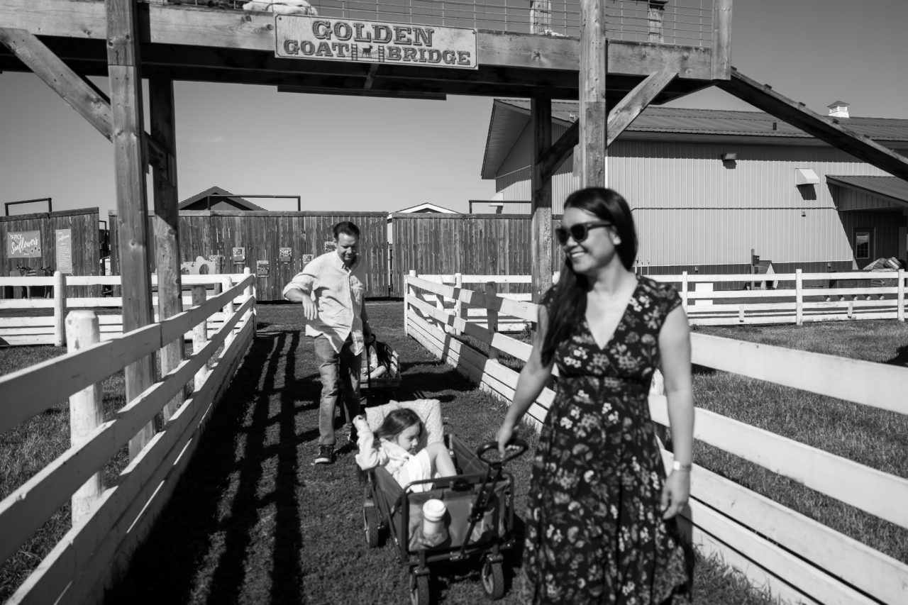 Edmonton corn maze family photography by Paper Bunny Studios - going under golden goat bridge