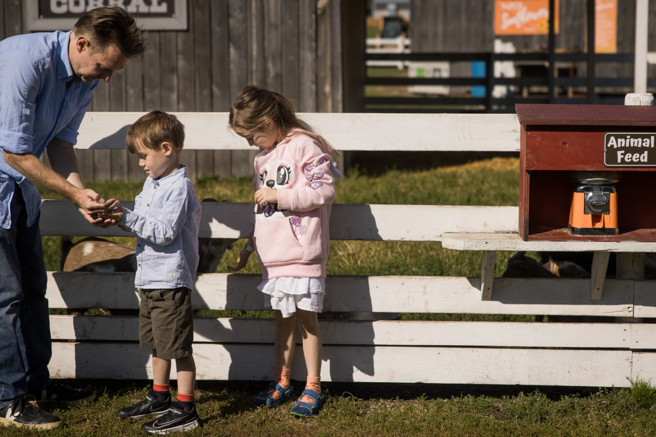 Edmonton corn maze family photography by Paper Bunny Studios - dad & kids sorting out animal feed