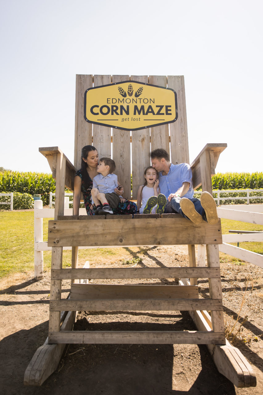 Edmonton corn maze family photography by Paper Bunny Studios - family photo on the big chair