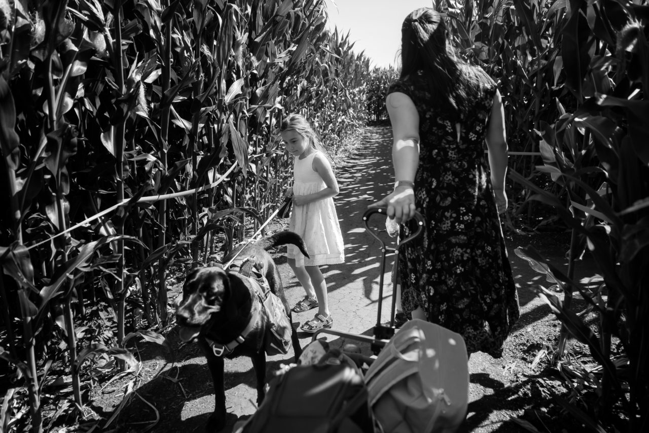 Edmonton corn maze family photography by Paper Bunny Studios - daughter & dog