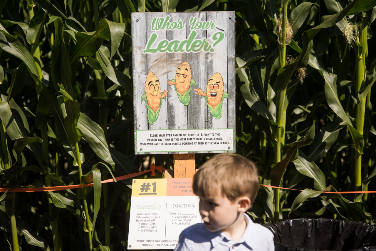 Edmonton corn maze family photography by Paper Bunny Studios - leader board