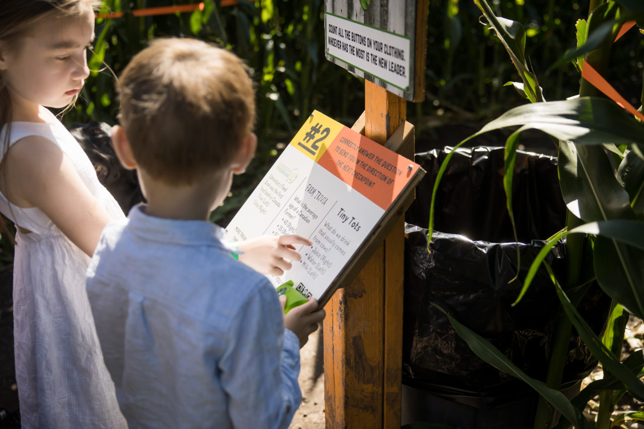 Edmonton corn maze family photography by Paper Bunny Studios - kids reading clues