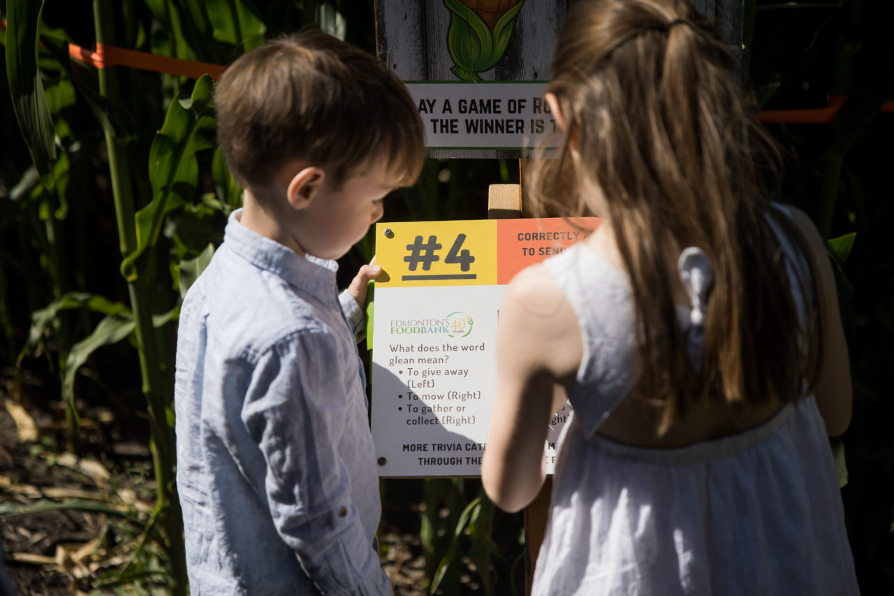 Edmonton corn maze outdoor family photography by Paper Bunny Studios - kids reading clues