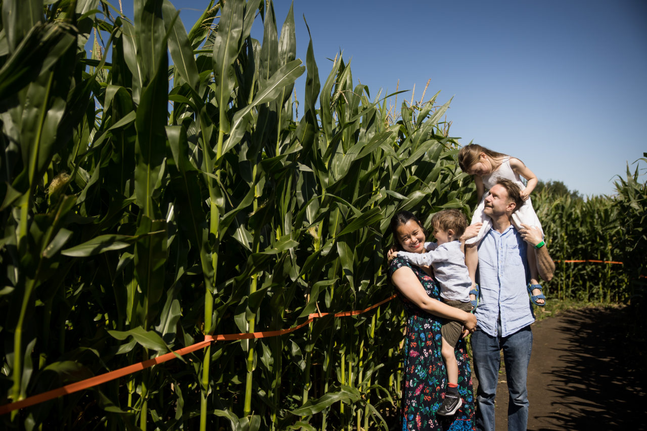 Edmonton corn maze family photography by Paper Bunny Studios - family photo