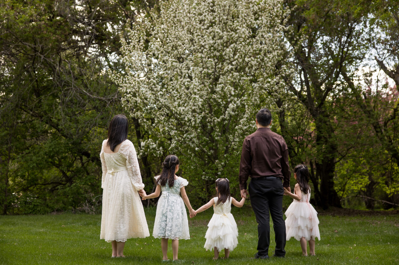 Apple blossoms outdoor family candid portrait by Paper Bunny Studios