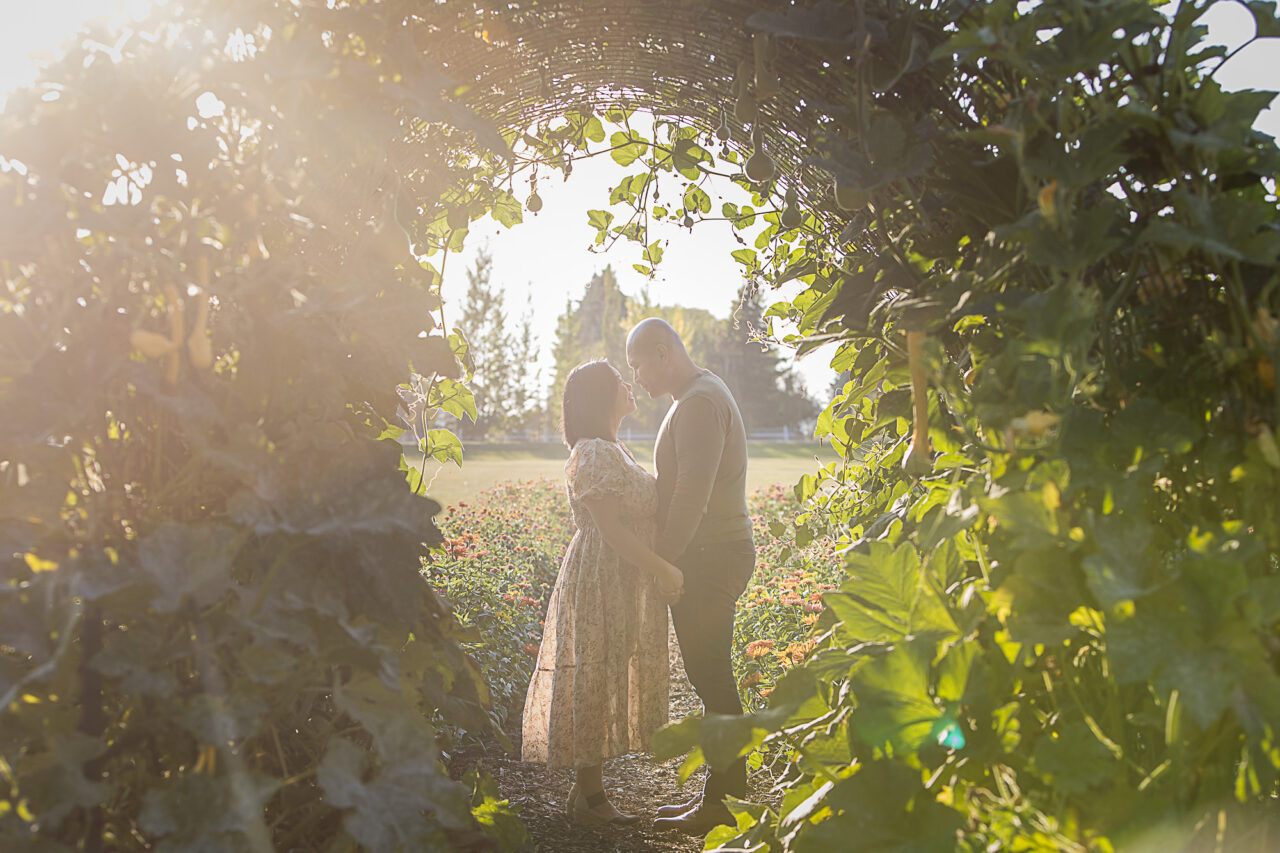Outdoor fall family maternity photo session of mom & dad looking at one another framed by a leafy arch by Edmonton family photographer Paper Bunny Studios