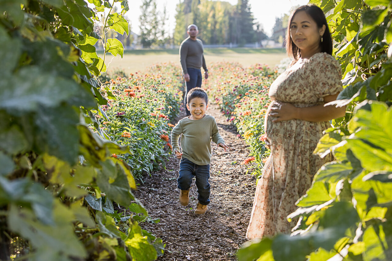 Outdoor fall family maternity photo session of little boy running towards camera with mom & dad in frame by Edmonton family photographer Paper Bunny Studios