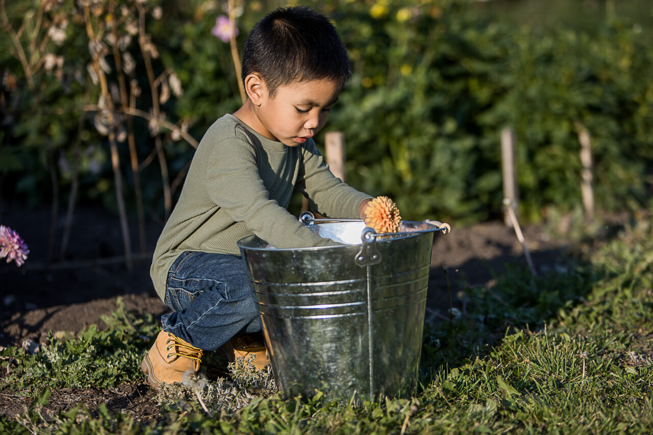 Documentary outdoor family photos of Little Boy by Edmonton family photographer Paper Bunny Studios