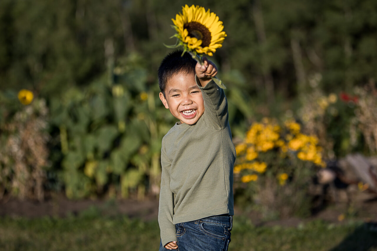 Documentary family photography of little boy holding up a sunflower by Edmonton family photographer Paper Bunny Studios