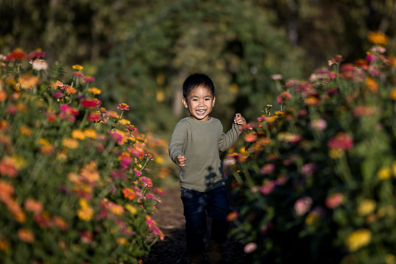 Documentary fall family photo of little boy coming towards camera by Edmonton family photographer Paper Bunny Studios