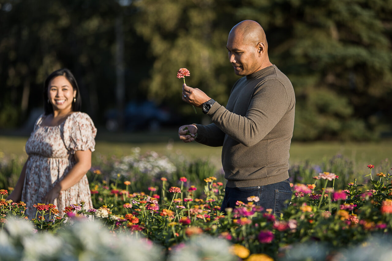 Documentary outdoor family photos at pick your own flower farm of mom & dad picking flowers by Edmonton family photographer Paper Bunny Studios