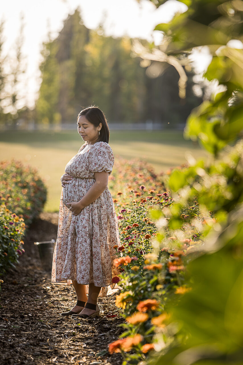 Classic maternity photo of mom in a flower garden on a warm fall day by Edmonton family photographer Paper Bunny Studios