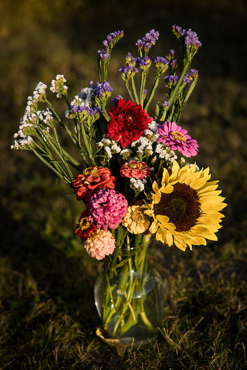 Pick your own flower garden bouquet by Edmonton family photographer Paper Bunny Studios