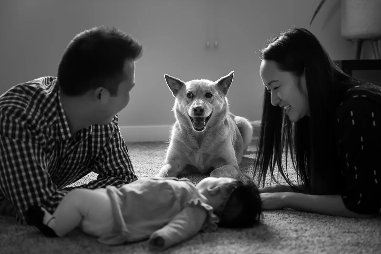 Black & white dog stealing the show during Newborn baby photos by Paper Bunny Studios Edmonton