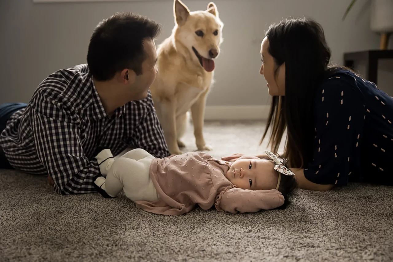 Newborn baby photos with family dog by Paper Bunny Studios Edmonton